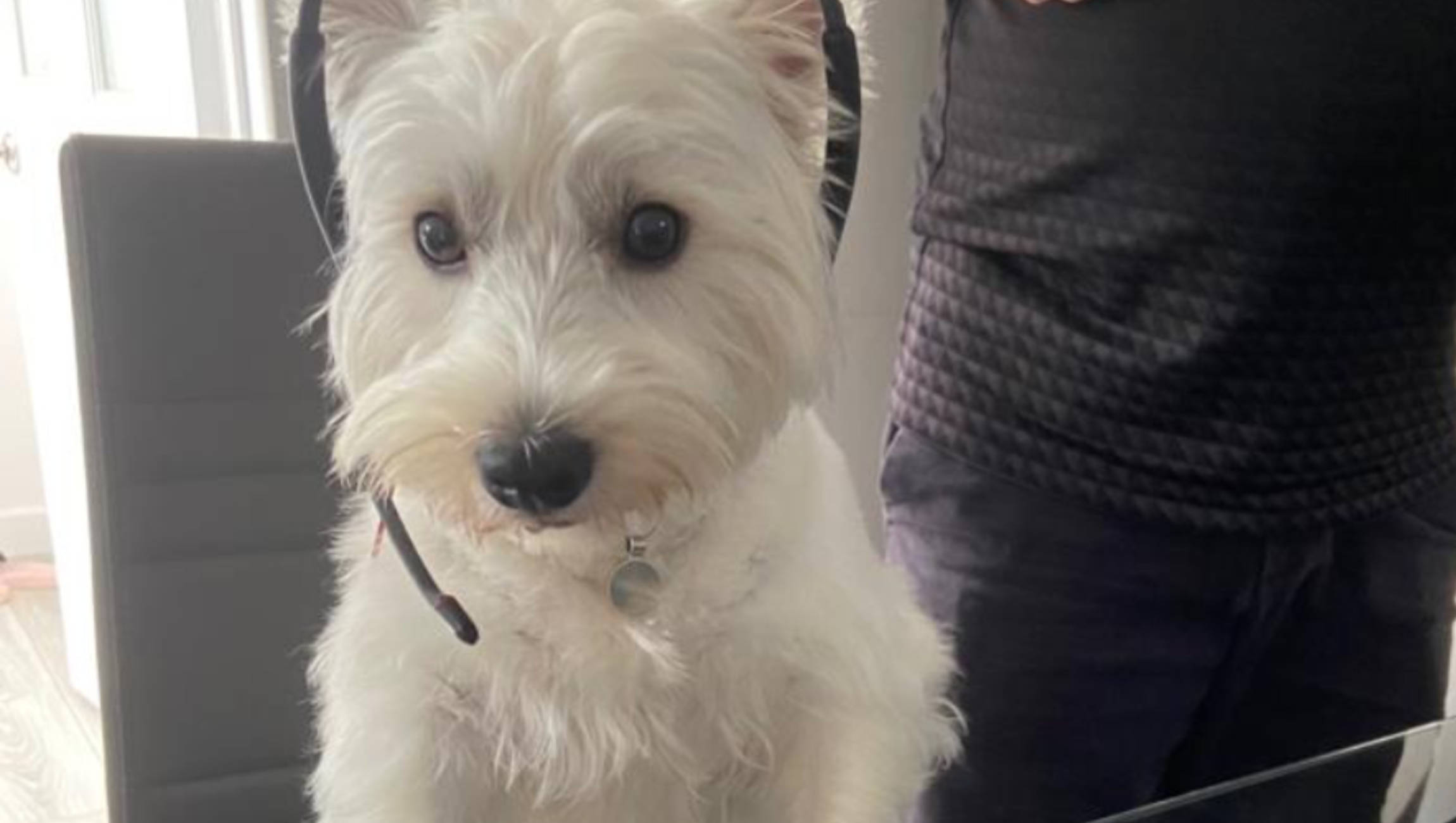 Support & Technical Assistance